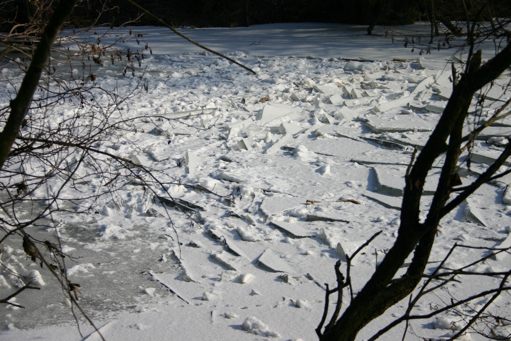 Eiswinter-Feb.-2012-004