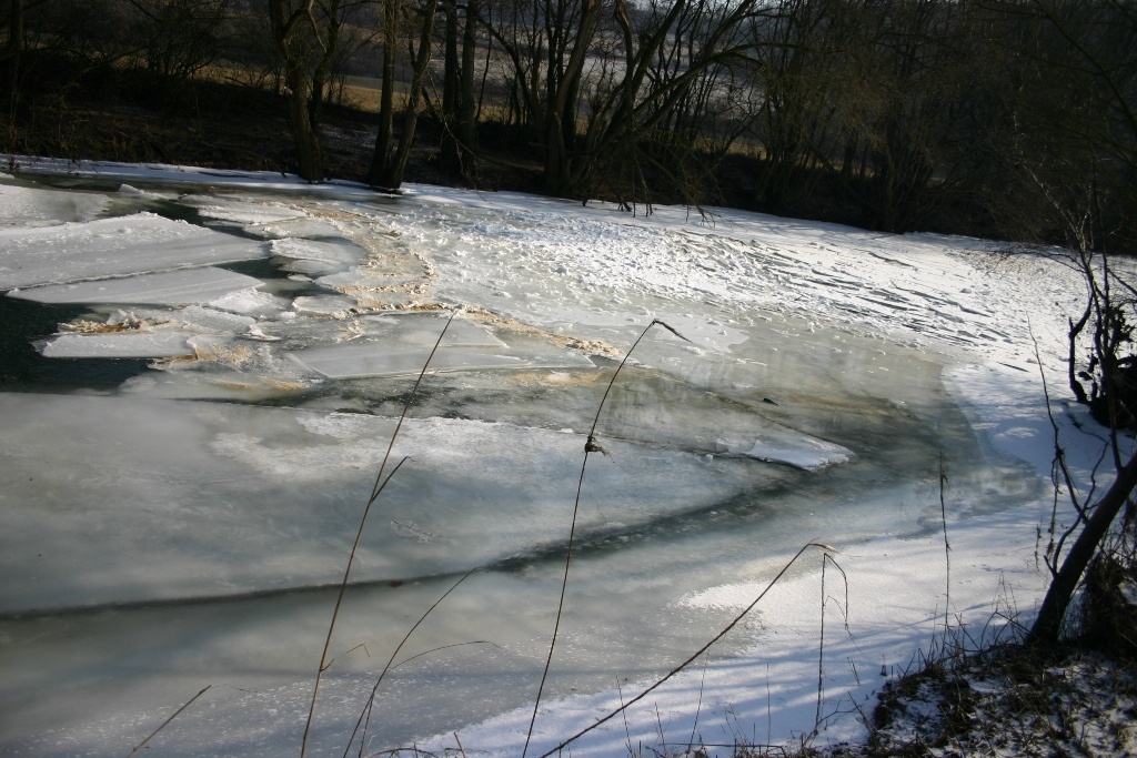 Eiswinter-Feb.-2012-005